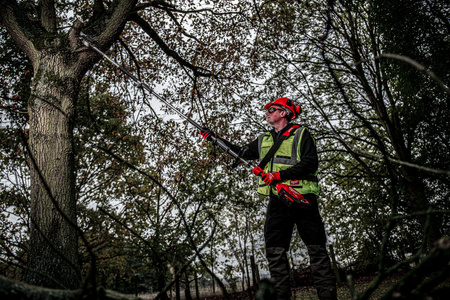 Pilarka do gałęzi QUIK-LOK M18 FOPH-CSA Milwaukee | CIS Sklep