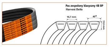 Pas klinowy zespolony 4B-3940 Harvest Belts Stomil Sanok | CIS Sklep