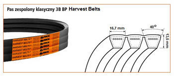 Pas klinowy 3B-3800 Harvest Belts 4250121764 Stomil Sanok | CIS Sklep