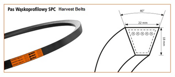 Pas klinowy SPC-3550 HARVEST BELTS CL61306.0 STOMIL SANOK | CIS Sklep