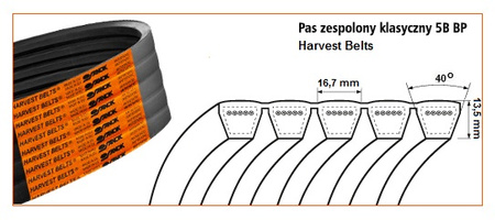 Pas klinowy zespolony 5B-2970 Harvest Belts 41978300 STOMIL SANOK | CIS Sklep