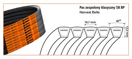 Pas klinowy zespolony 5B-4890 Harvest Belts 070952.2 STOMIL SANOK | CIS Sklep