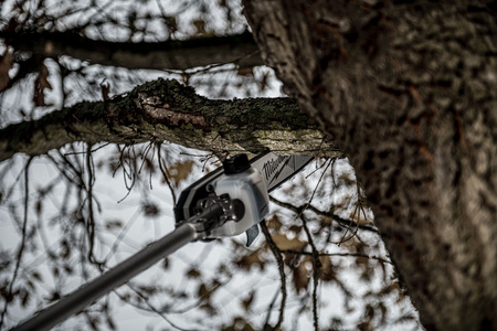 Pilarka do gałęzi QUIK-LOK M18 FOPH-CSA Milwaukee | CIS Sklep