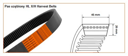 Pas klinowy HL-3186 HARVEST BELTS 80356024 STOMIL SANOK | CIS Sklep