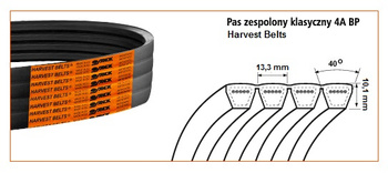 Pas klinowy zespolony 4A-1700 Harvest Belts 912877M1 STOMIL SANOK | CIS Sklep